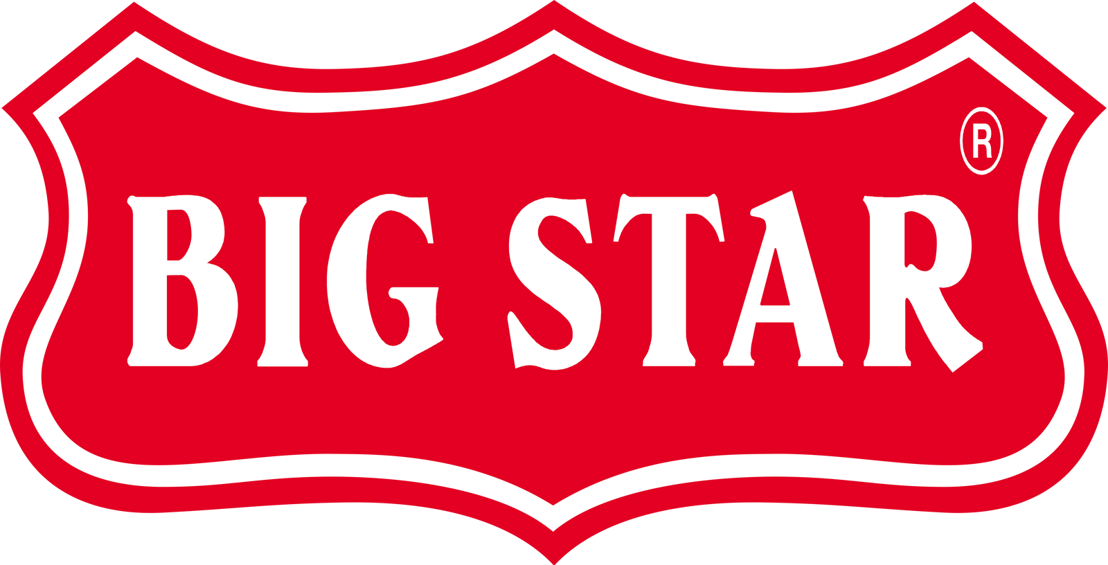 big_star_logo.png