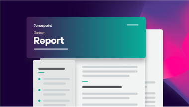 sase_entity_card_report_1.png