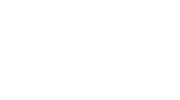 American Express logo