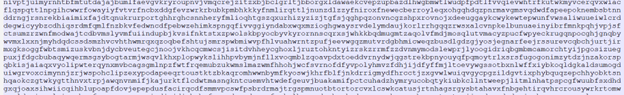 strela_image-5.png