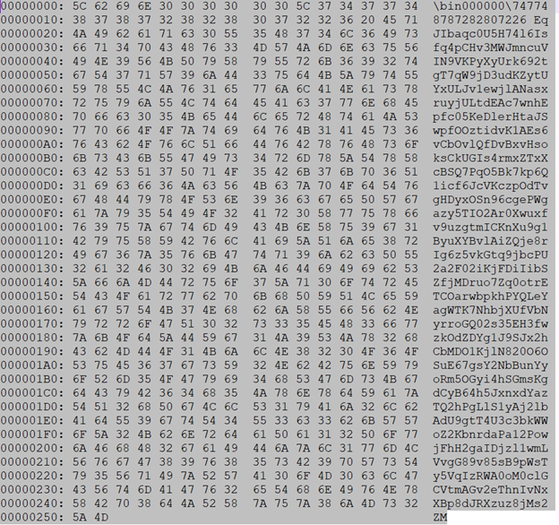 InfoStealers-wild-image-6