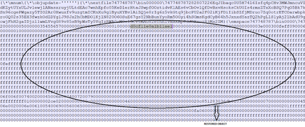 InfoStealers-wild-image-8