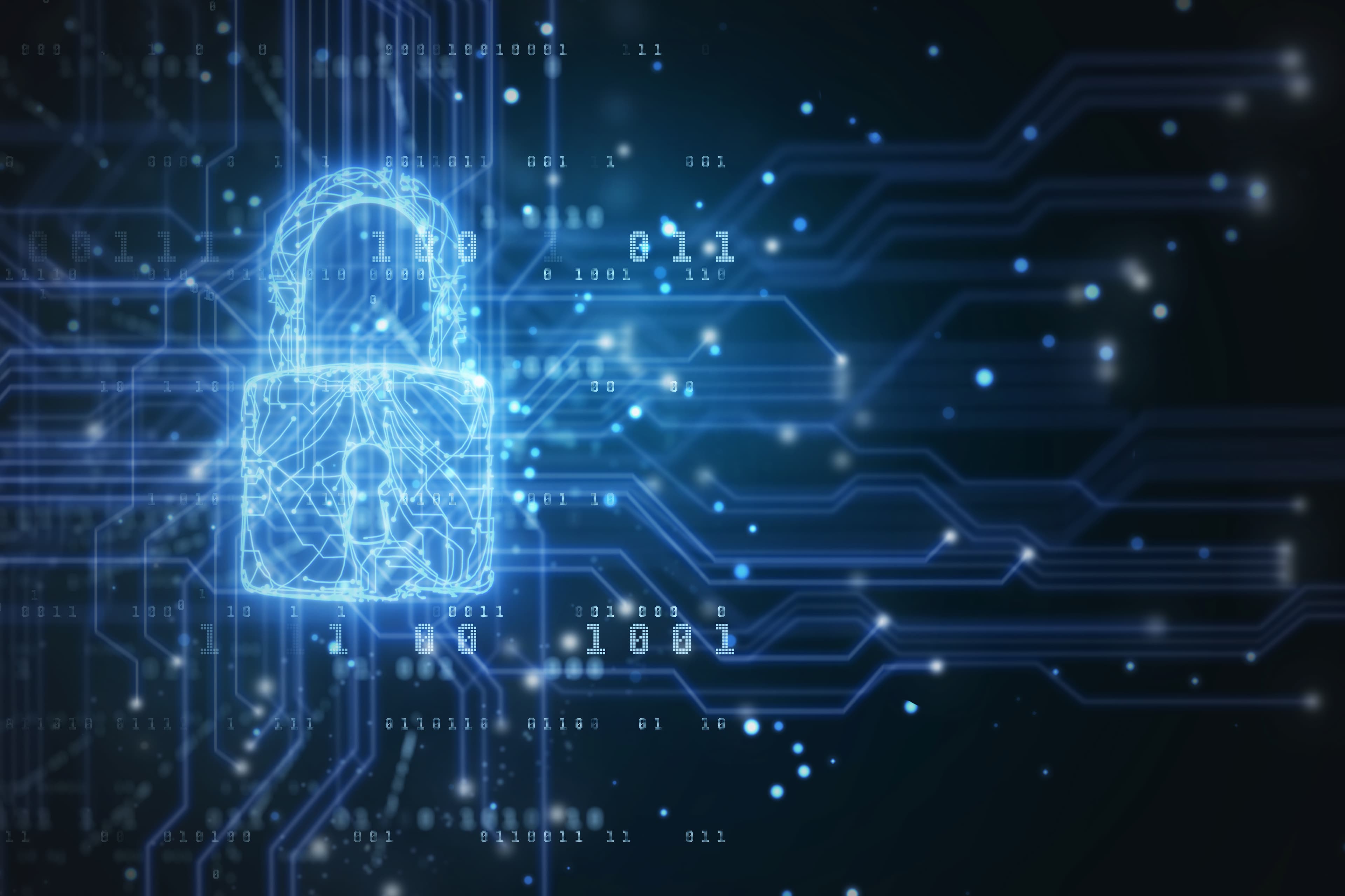 circuitry_security_padlock.jpg