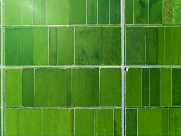 Blog Post background image