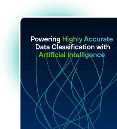 The Enterprise Guide to AI Data Security