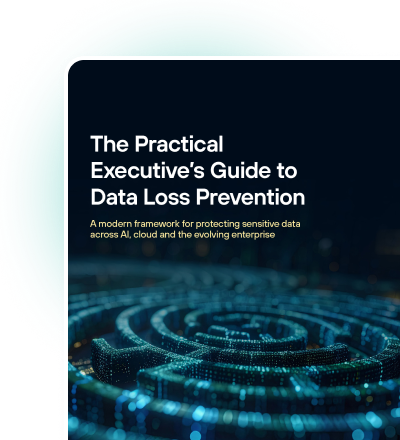 The Practical Executive’s Guide to Data Loss Prevention