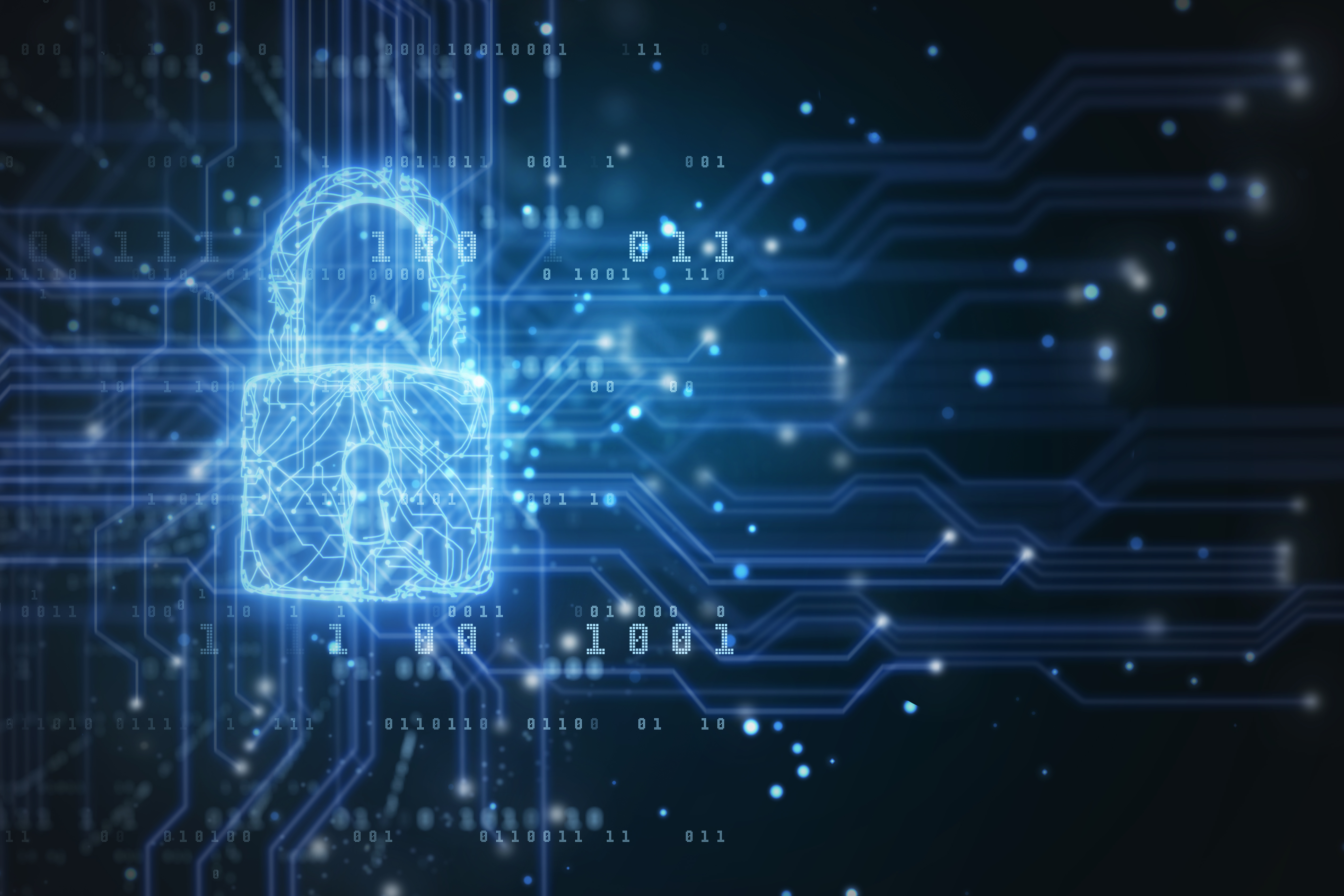 circuitry_security_padlock.jpg