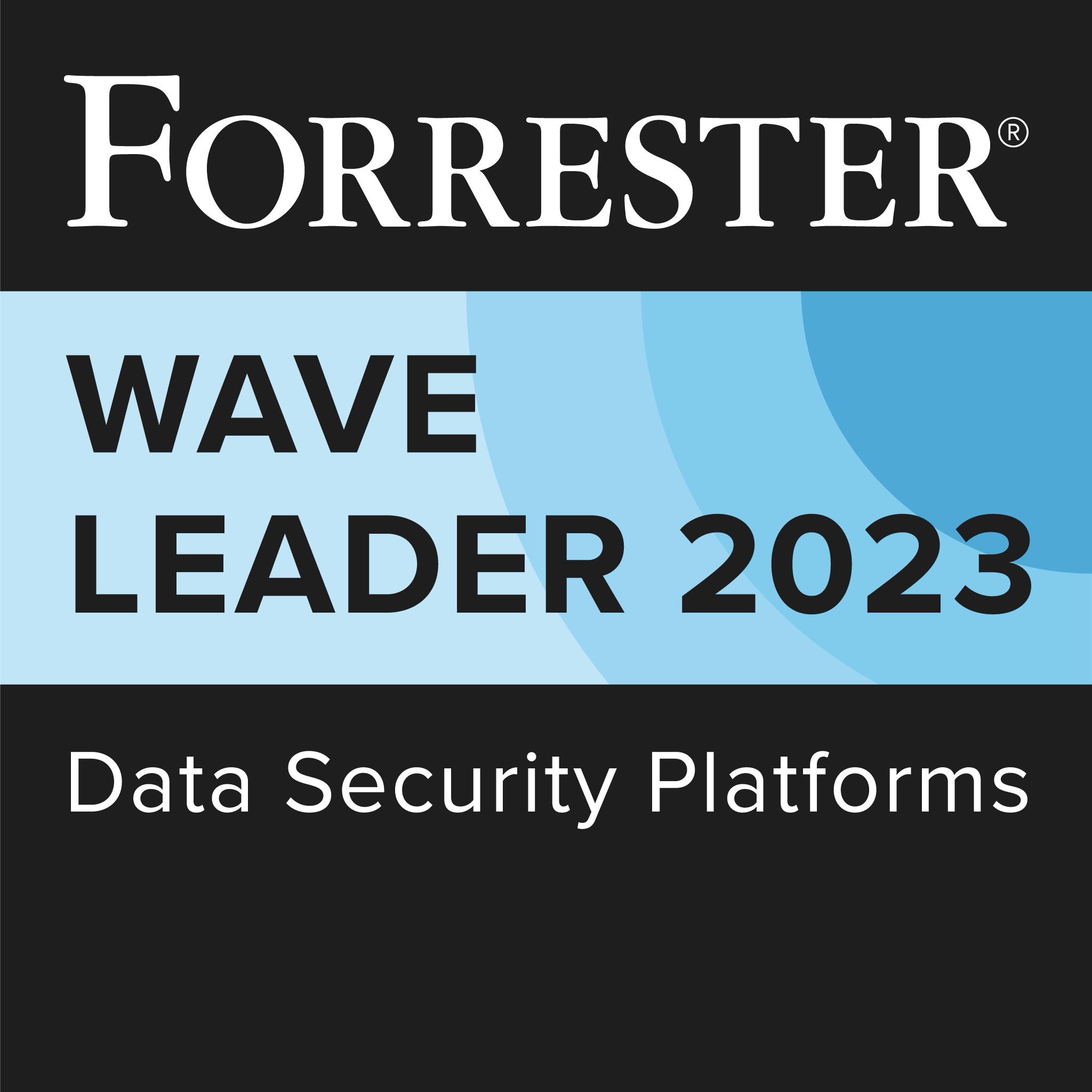 2023q1_data-security-platforms_178465_l.png