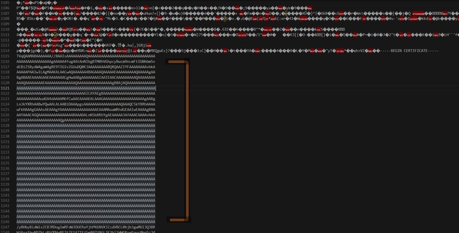 Base64 encoded EXE within the pixel array 