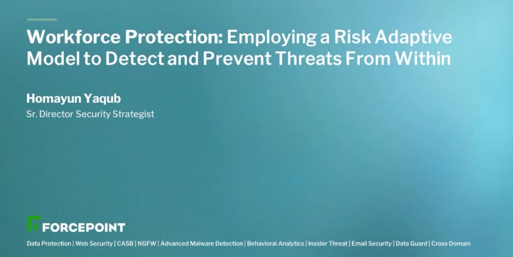 Workforce Protection: Employing a Risk Adaptive Model to Detect and Prevent Threats From Within