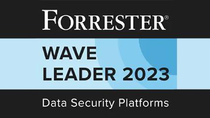 Forrester Wave Leader
