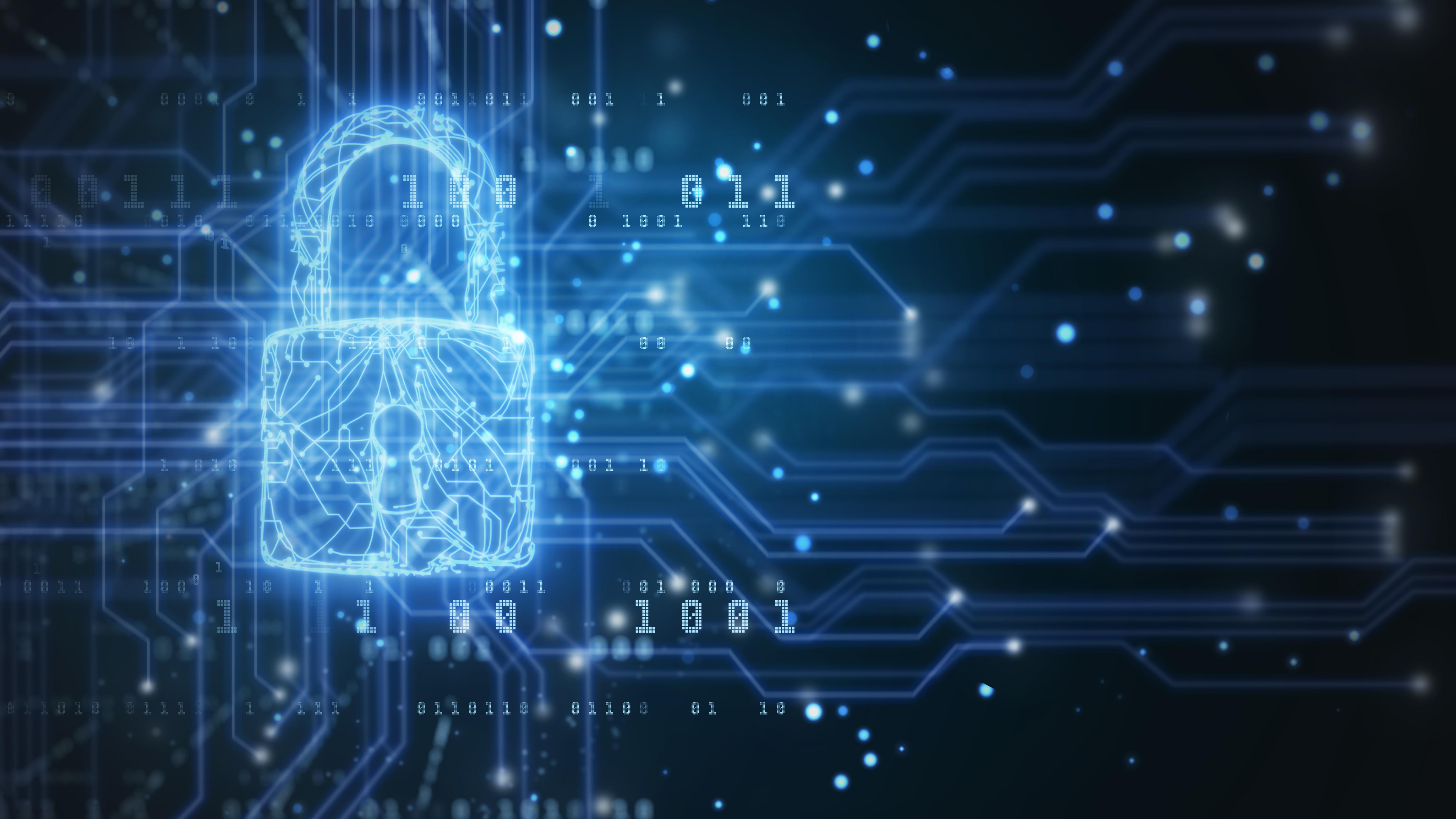 circuitry_security_padlock.jpg