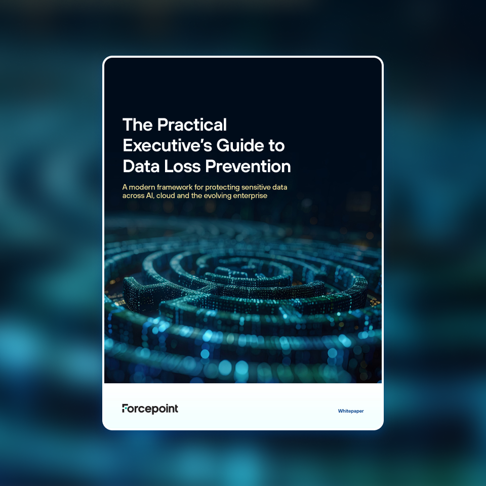 Practical Executive Guide to DLP callout image