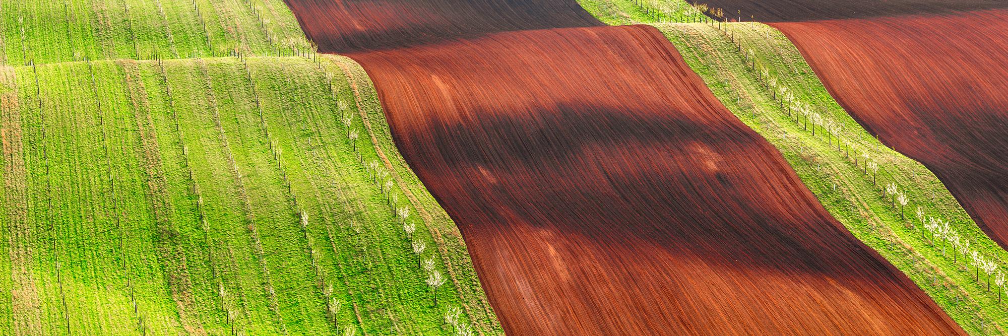 indian-farm-equipment-manufacturer-global-customer-story-gettyimages-1124451992-2000x826.jpg