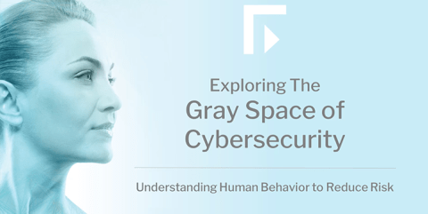 Exploring the Gray Space of Cybersecurity